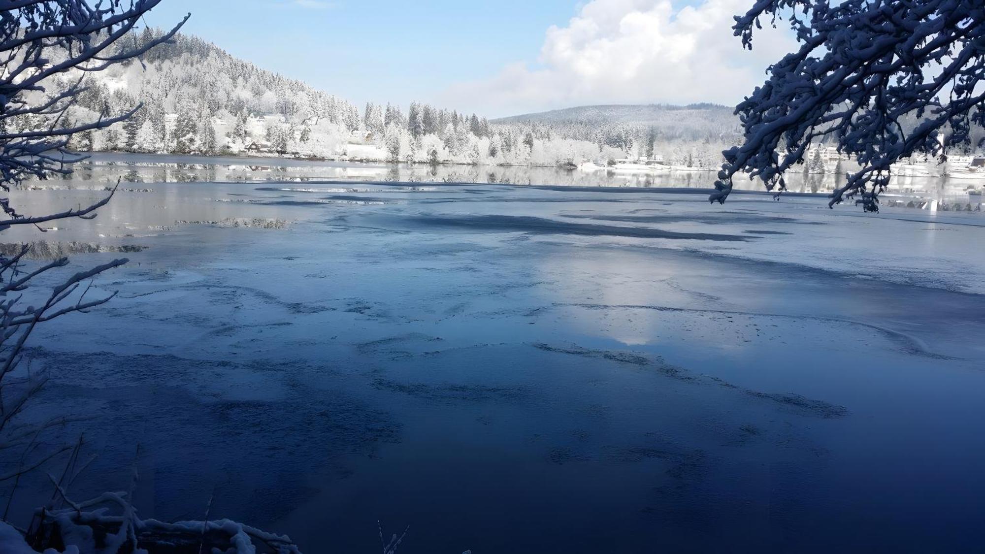 Ferienhaus Am Roesslewald Breitnau Buitenkant foto